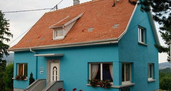 La Maison Bleue Dieffenbach-au-Val Bagian luar foto